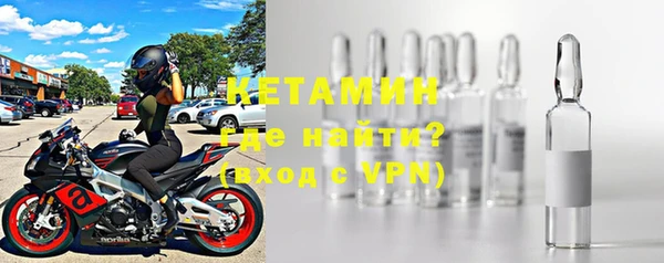 индика Бородино