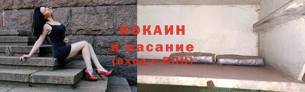 индика Бородино