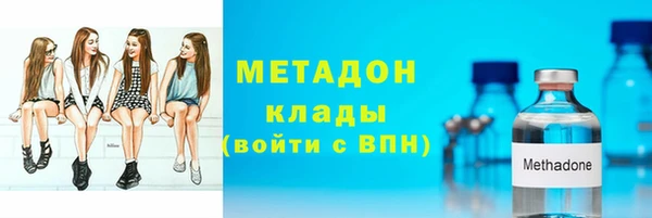 индика Бородино