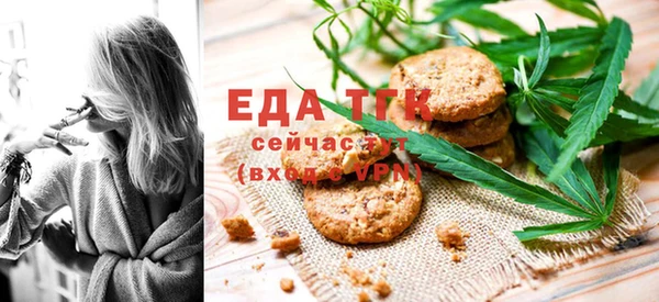 индика Бородино