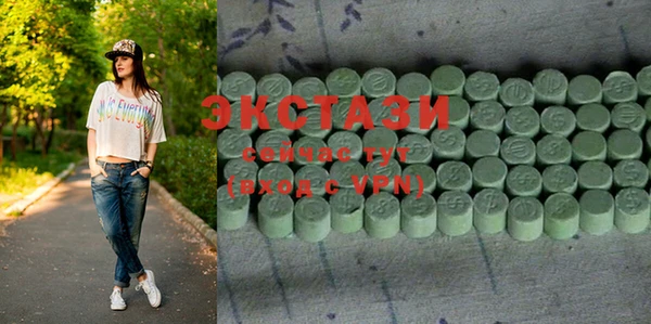 индика Бородино
