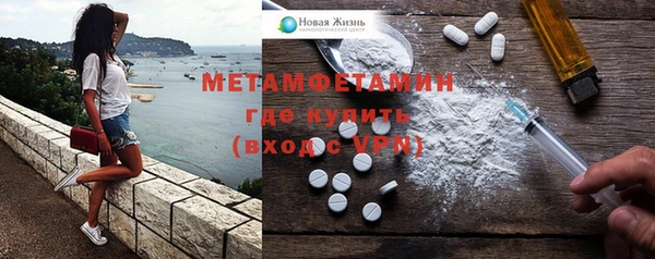 индика Бородино