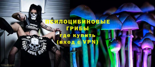 индика Бородино