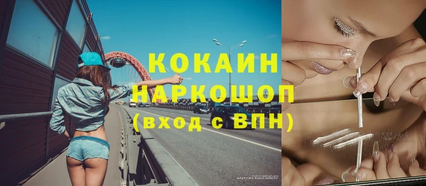 индика Бородино